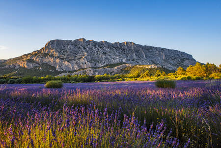 Montagne Sainte-Victoire
