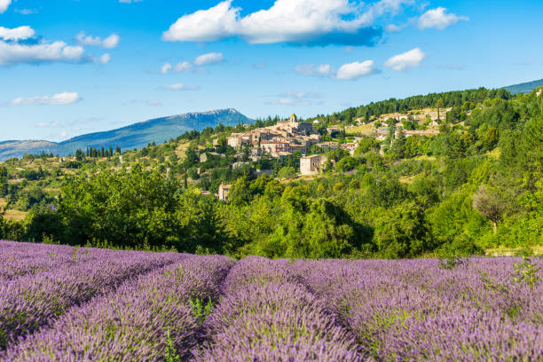 Découverte Provence